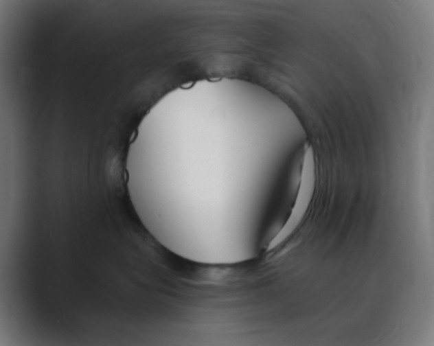 X0000088490575200706191426