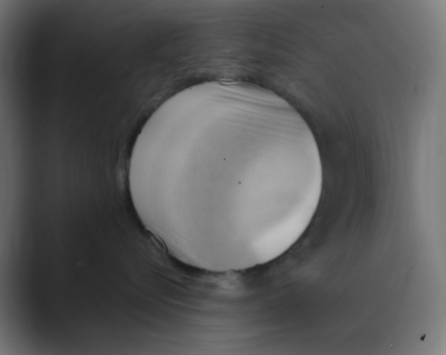 X0000088490576200706191426