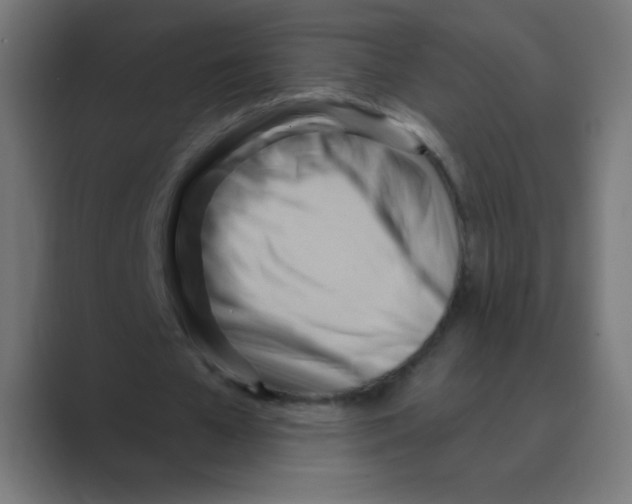 X0000088490577200706191426