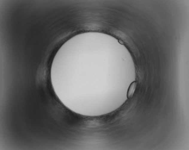 X0000088490583200706191426