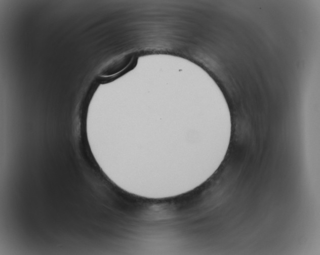 X0000088490584200706191426