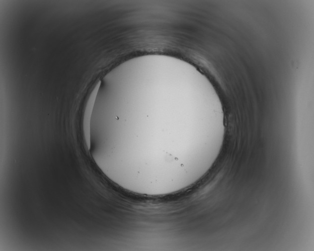 X0000088490589200706191426