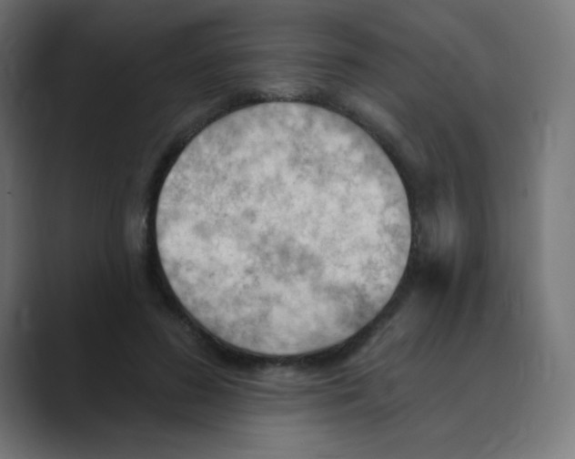 X0000088490596200706191426