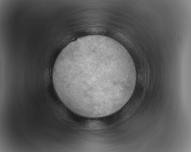 X0000088490605200706191426
