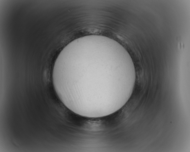X0000088490606200706191426