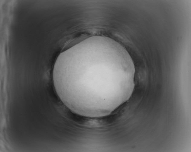 X0000088490611200706191426