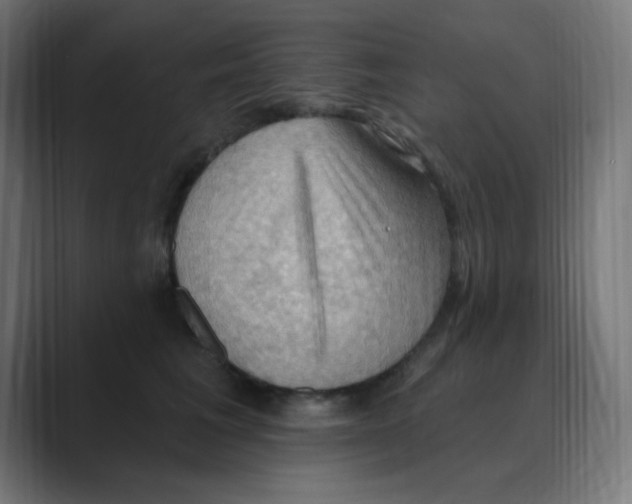 X0000088490613200706191426