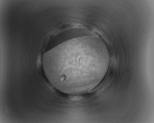 X0000088490621200706191425