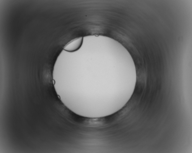 X0000088490622200706191425