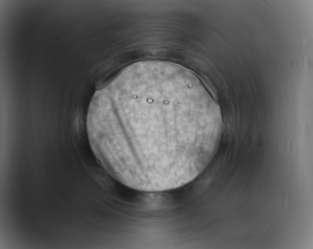 X0000088490623200706191425