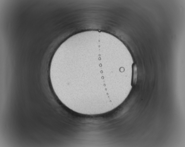 X0000088490625200706191425