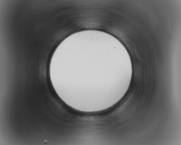 X0000088490629200706191425