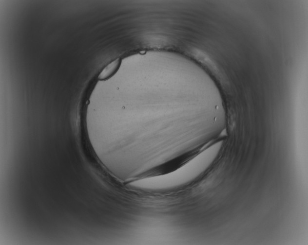 X0000088490630200706191425