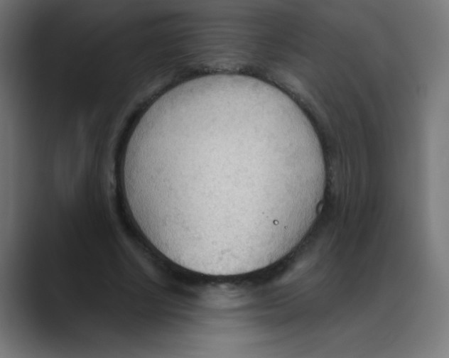 X0000088490634200706191425