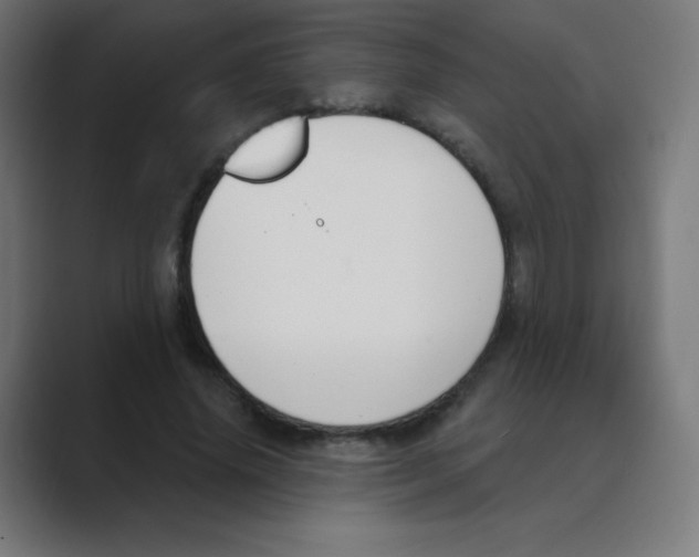 X0000088490636200706191425