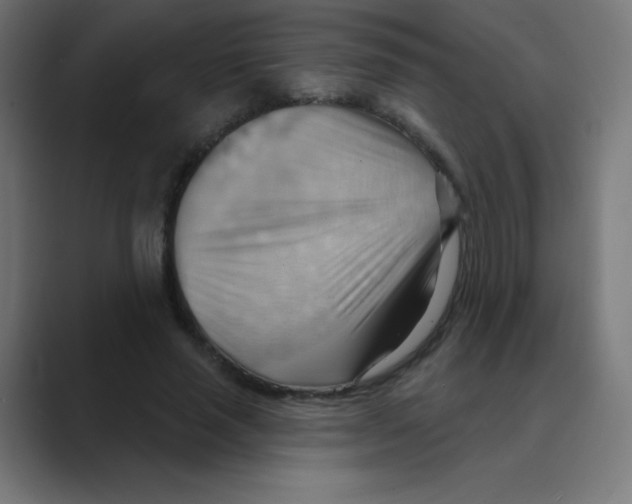 X0000088490637200706191425