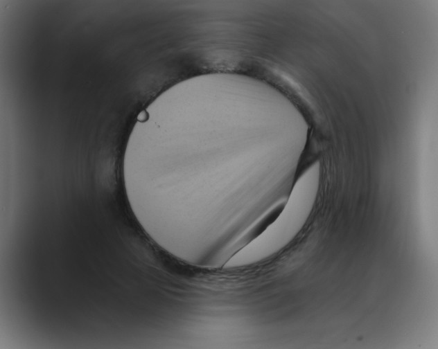 X0000088490641200706191425