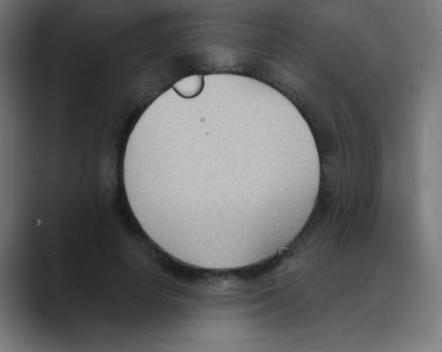 X0000088490642200706191425