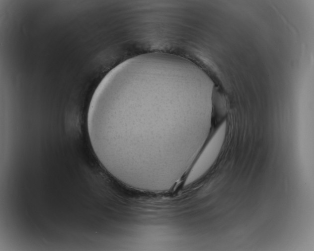 X0000088490643200706191425