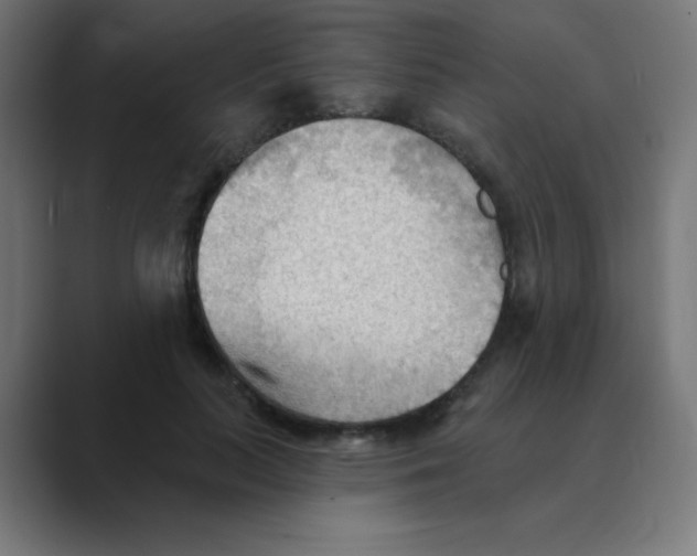 X0000088490647200706191425