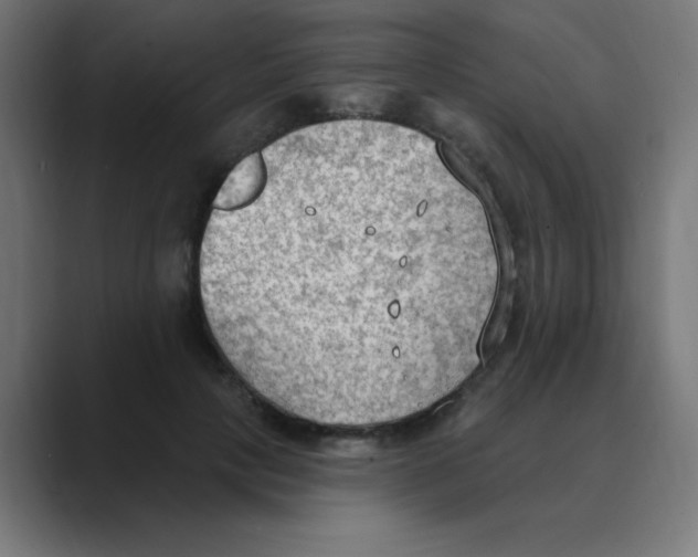 X0000088490649200706191425