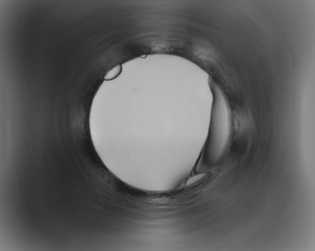 X0000088490650200706191425