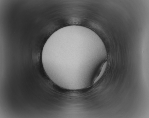 X0000088490652200706191425