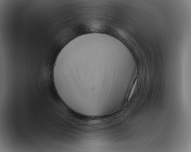 X0000088490653200706191425