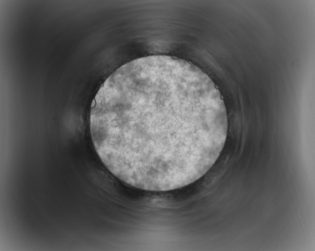 X0000088490655200706191425