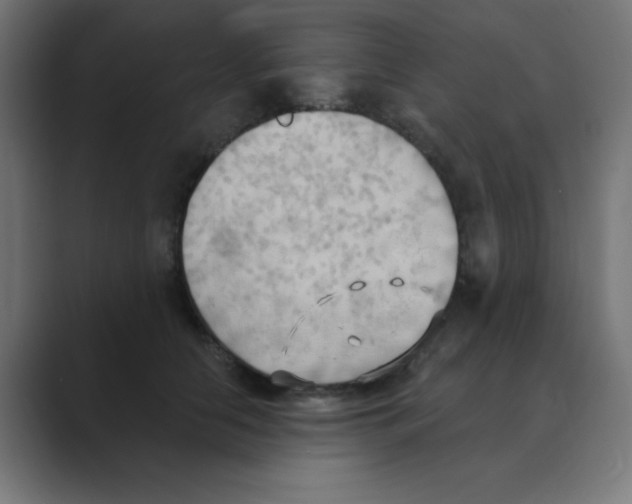 X0000088490658200706191425