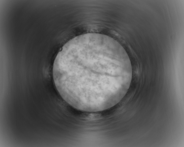 X0000088490663200706191425