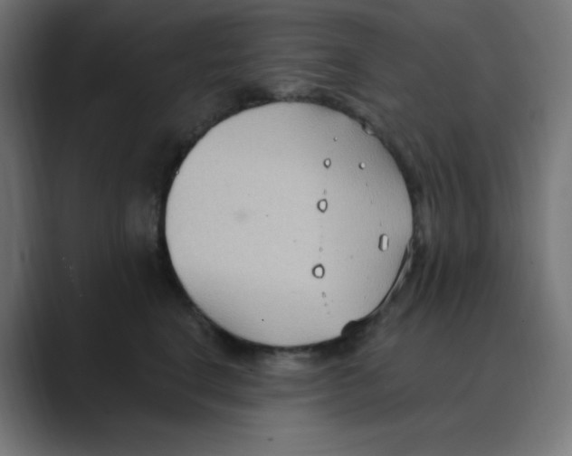X0000088490664200706191425