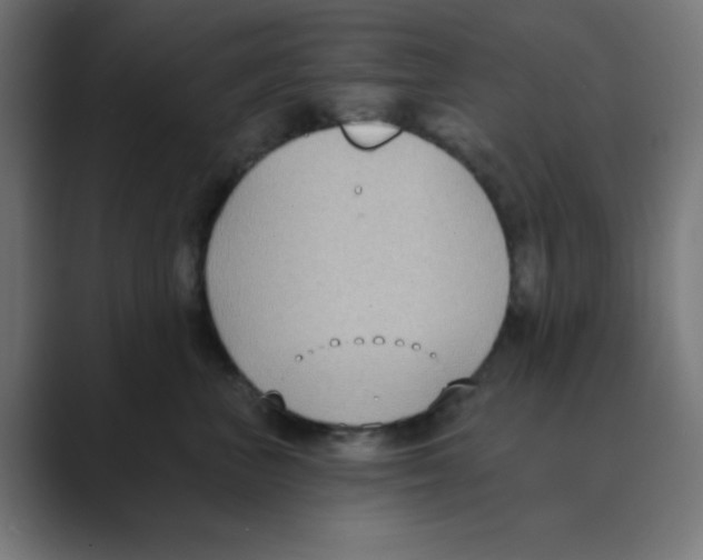 X0000088490667200706191425