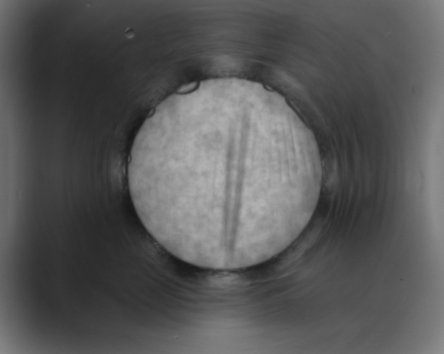 X0000088490669200706191425
