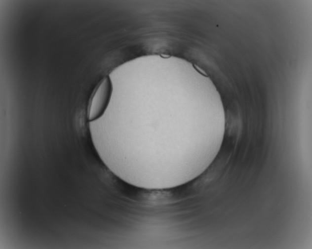 X0000088490670200706191425