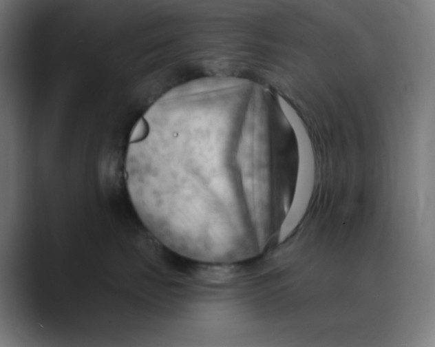 X0000088490671200706191425
