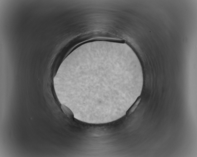 X0000088490673200706191425