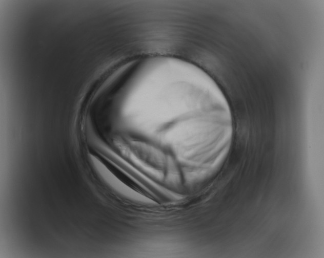 X0000088490674200706191425