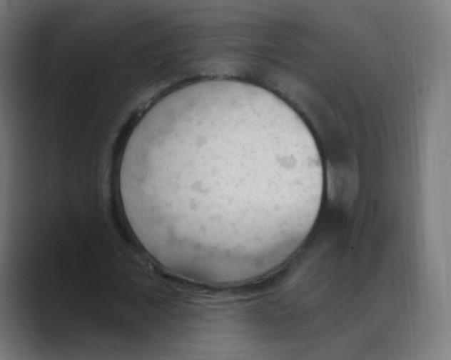 X0000088490675200706191425