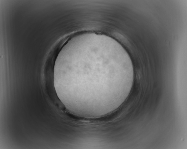 X0000088490676200706191425