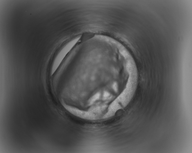 X0000088490679200706191425