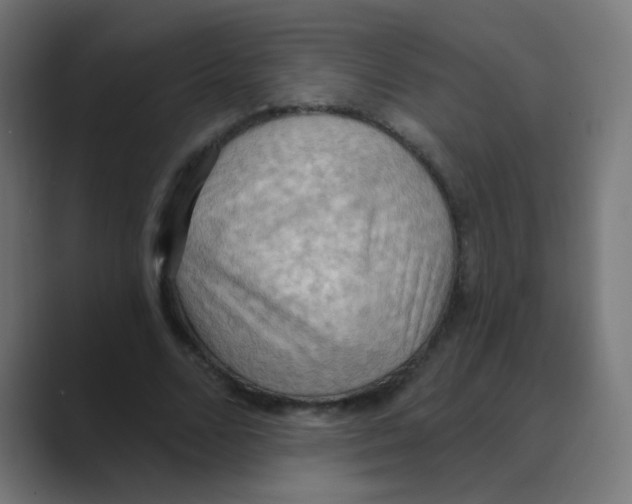 X0000088490680200706191425