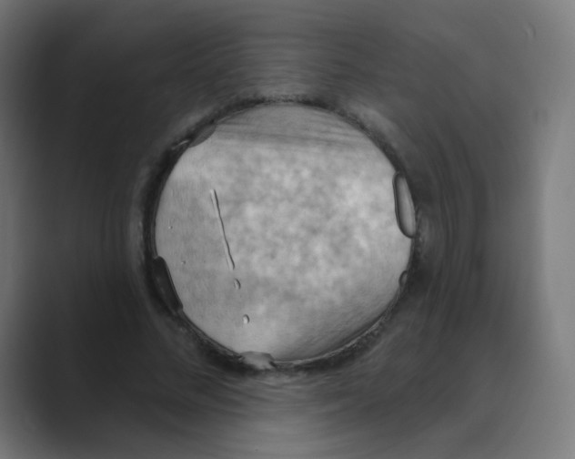 X0000088490684200706191425