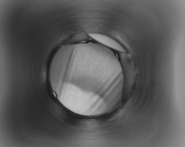 X0000088490685200706191425