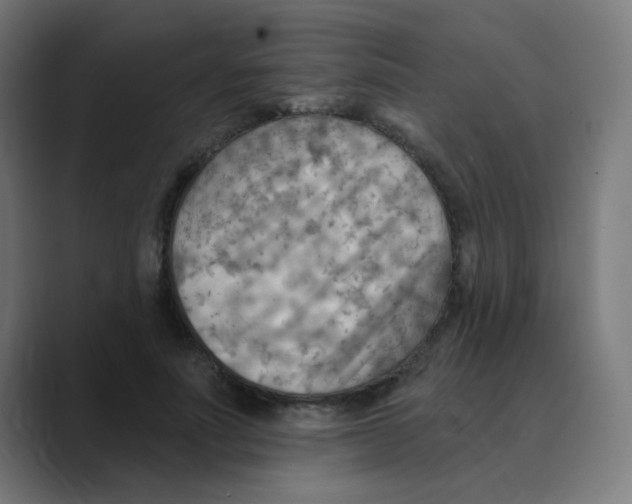 X0000088490691200706191425