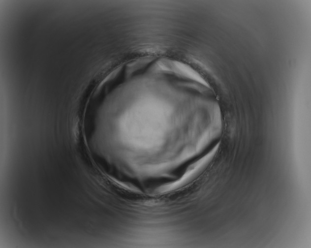 X0000088490692200706191425