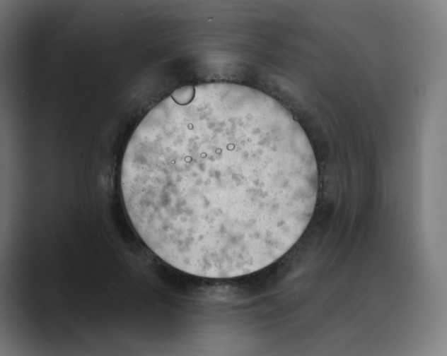X0000088490695200706191425