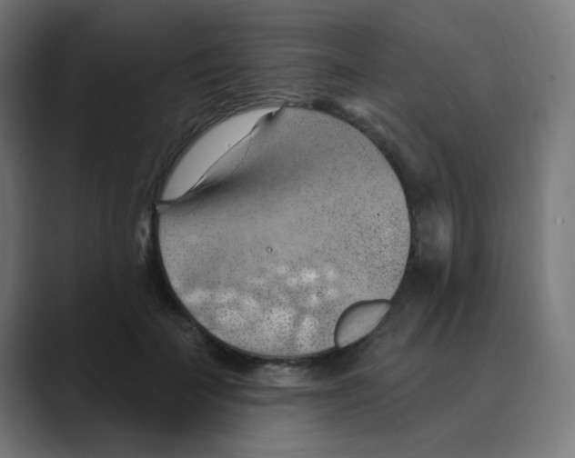 X0000088490699200706191425