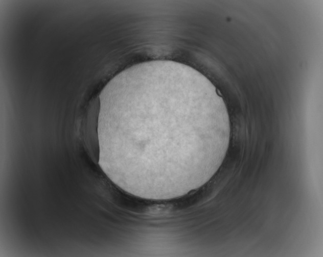 X0000088490700200706191425