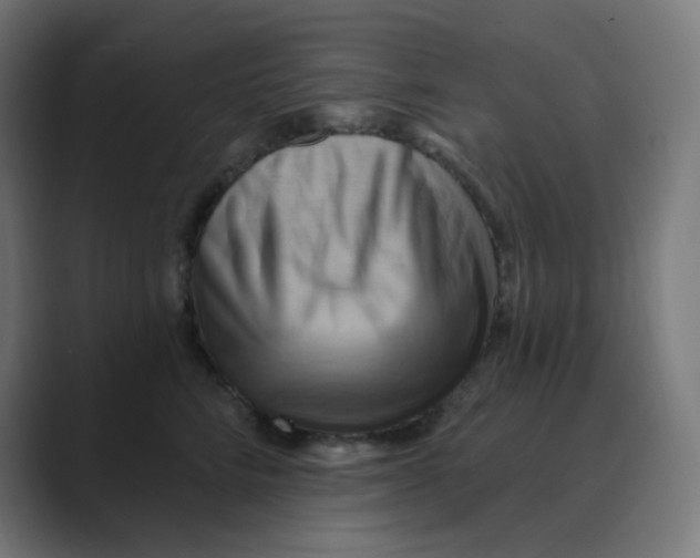 X0000088490712200706191424